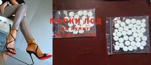 шишки Покачи