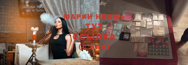 шишки Покачи