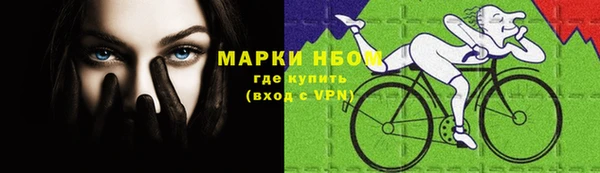 шишки Покачи