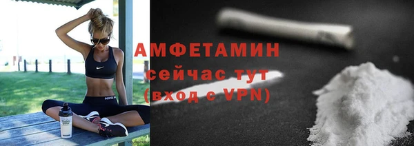 шишки Покачи