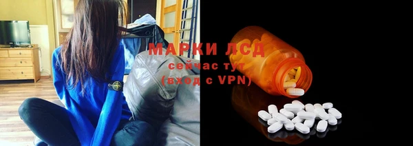 шишки Покачи