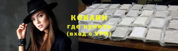 шишки Покачи