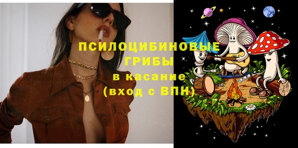 шишки Покачи